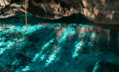 Cenotes para visitar en Playa del Carmen. ¿A cuál voy?